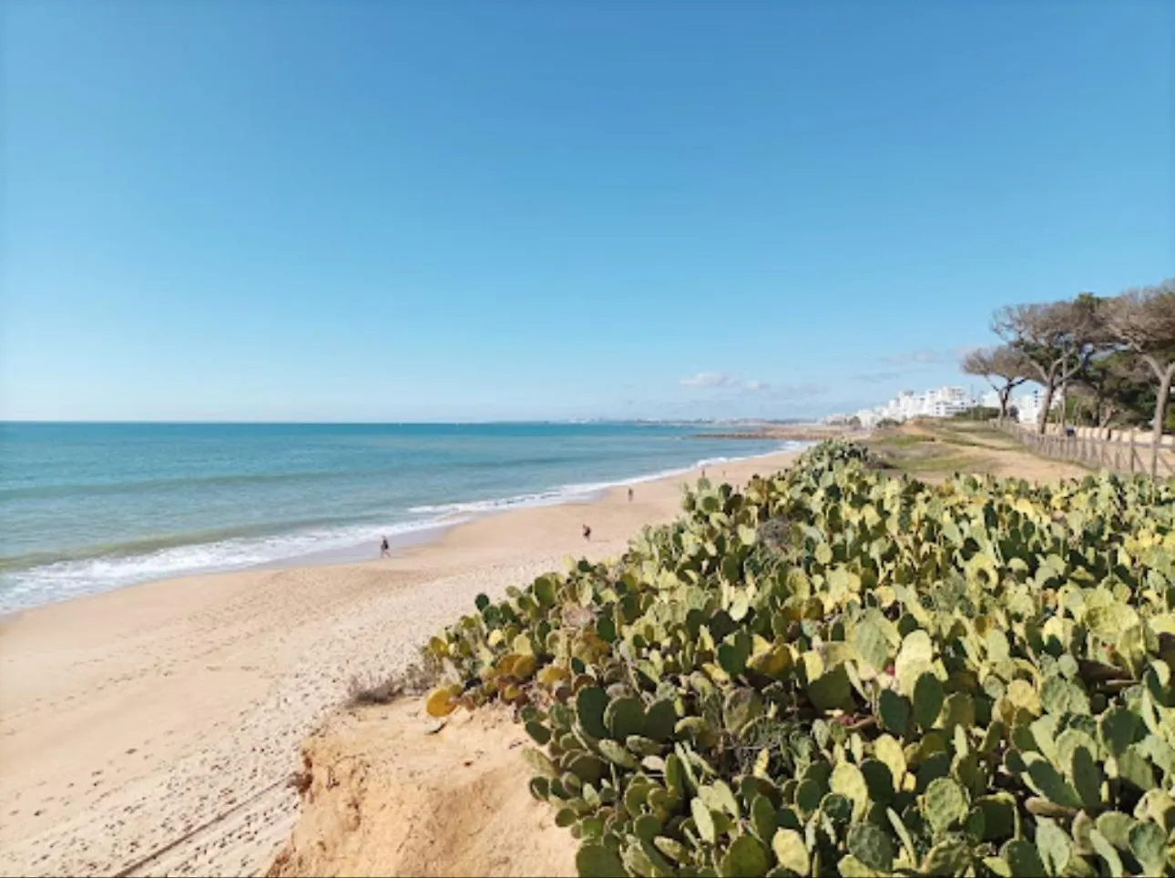 Holiday home Sun House Villa Sao Bras de Alportel